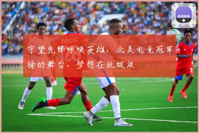 守望先锋呼唤英雄，北美电竞冠军榜的舞台，梦想在此绽放