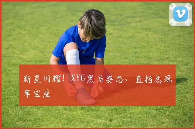 新星闪耀！XYG黑马姿态，直指总冠军宝座