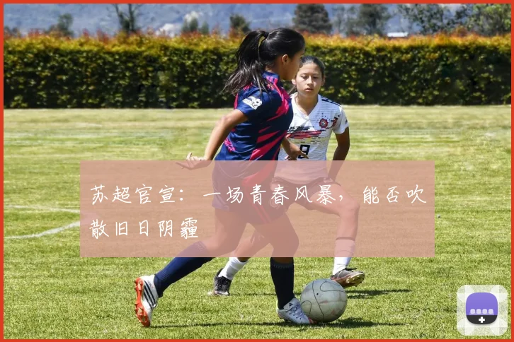 苏超官宣：一场青春风暴，能否吹散旧日阴霾